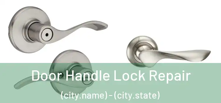 Door Handle Lock Repair (city.name) - (city.state)